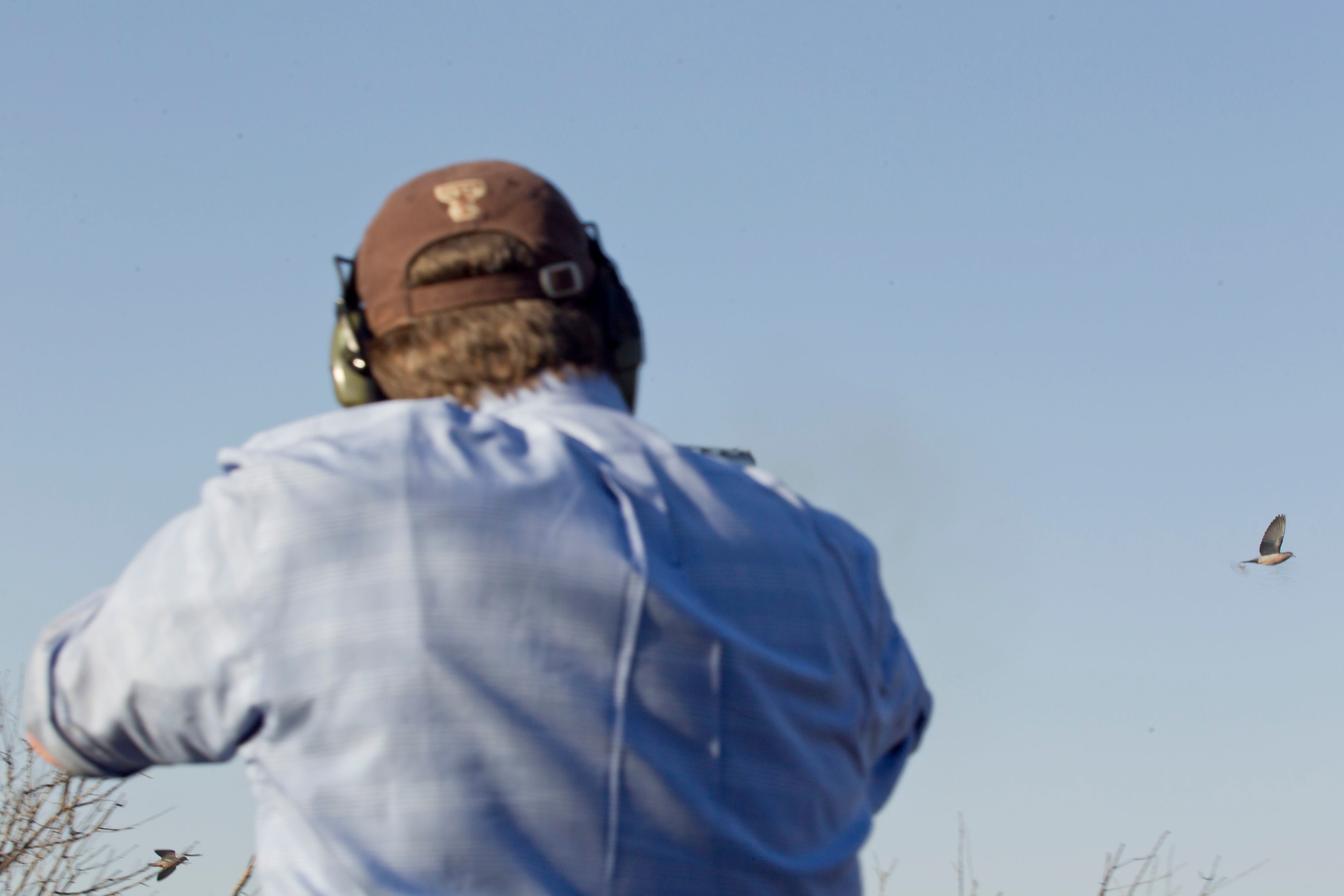 First Class Argentina Dove Shooting Experience for 3 People