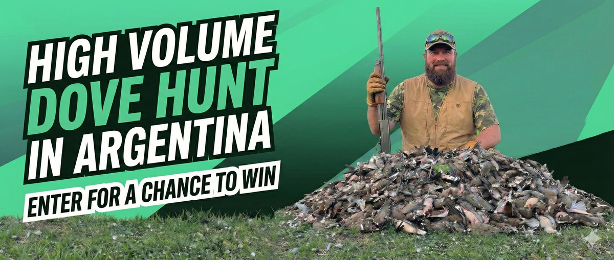 High-volume dove hunting